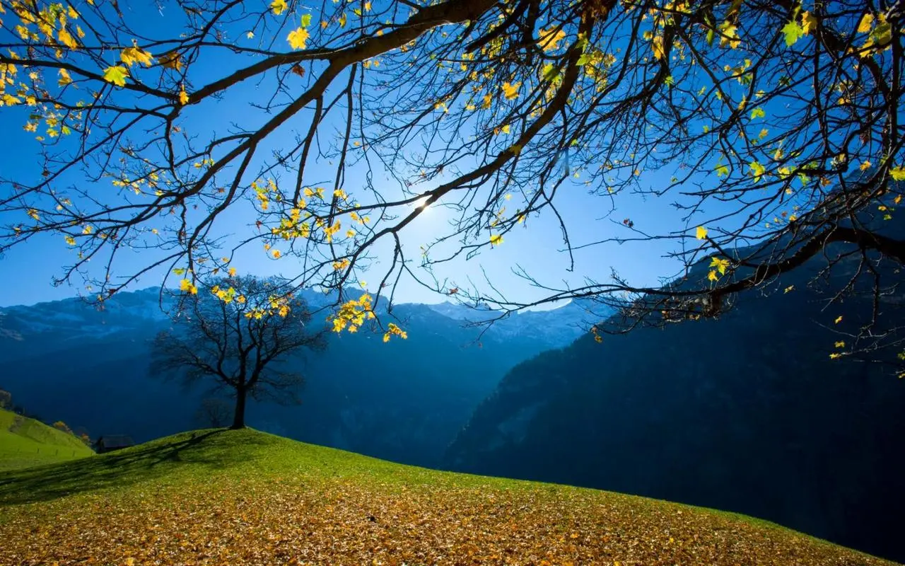 智慧工厂新型精密